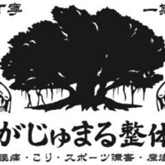 日本とアメリカの技で元気な体が手に入る～がじゅまる整体院～