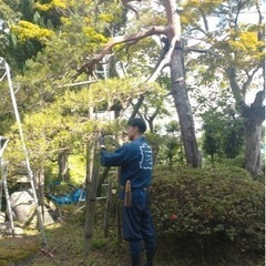 🔸お庭仕事の助手🔸未経験でも大歓迎！お気軽にお問い合わせ下さい
