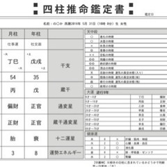 こども占い(四柱推命鑑定書お手紙付き)の画像