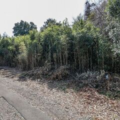 土地 小山市大字乙女(188.45坪) 150万円