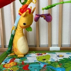フィッシャープライス　レインフォレスト　デラックスジムⅡ　の画像
