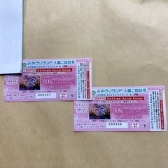 チケット　読売ランド入園ご招待券　2024/5/31 ペアチケッ...