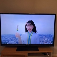 家電 テレビ 液晶テレビ