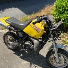 YAMAHA TDR50の画像