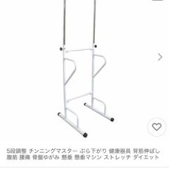 ぶら下がり健康器　ジャンク　筋トレ　懸垂　トレーニング