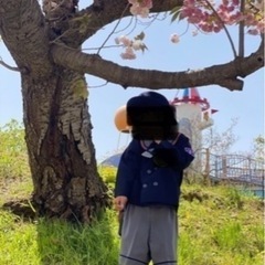 畑沢幼稚園・八重原幼稚園・金田幼稚園　制定品（バラ売り可）