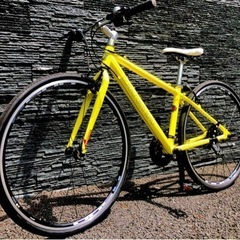 GW限定価格》IORE＊イオレ＊フィッシュブラウス