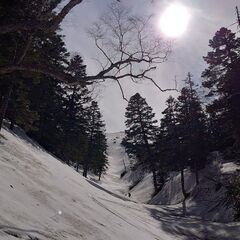 スノーボード　ホットワックス　かけます！　ソフトブーツ応急処置の画像