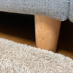 コアラソファ 2人掛けソファの画像