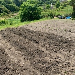 一緒に畑をやりませんか？生駒市在住で3.40代女性限定
