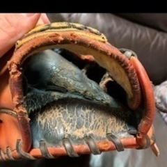 プロステイタス  野球用 外野用    グローブ  の画像