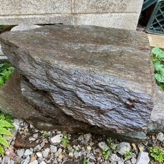 敷石　(飛び石) 11枚　の画像