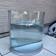 生活雑貨 家庭用品 ガーデニング