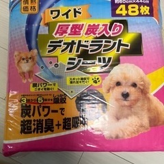 【決まりました】ペットシート　ワイド厚型炭 入り48枚✖️2