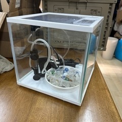 受け渡し予定決定済　水槽セット　25cm  