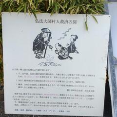 生活雑貨 洗濯用品 物干し竿、ロープの画像