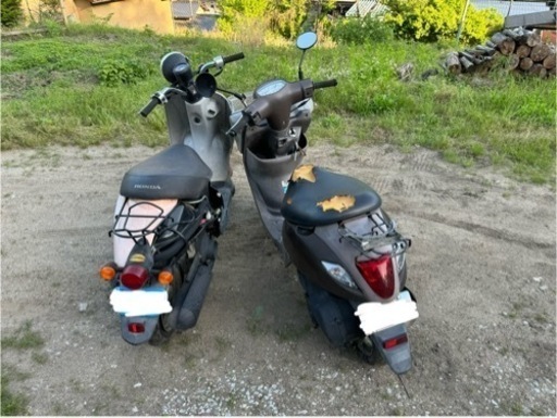 バイク 原付 HONDA（再投稿）