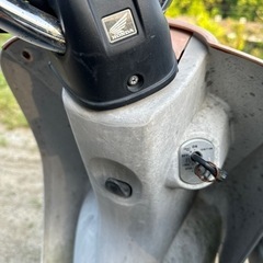 バイク 原付 HONDA（再投稿）の画像