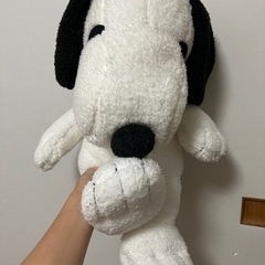 パーク内ゲーム景品 ディズニー ユニバの画像