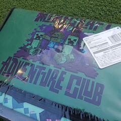 マイクラ　大きなポッケ付き　バスケット  グリーンの画像