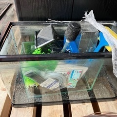 水槽の画像