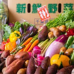 神楽坂より徒歩１分／和フレンチの創作鉄板料理のスタンバイスタッフ急募！の画像