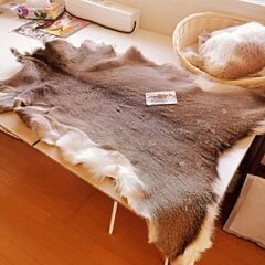 😁キャンプラグマット　鹿毛皮ラグ💌の画像
