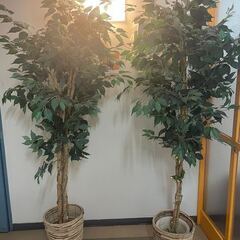 フェイクグリーン・インテリアグリーン・人工植物・フェイク観葉植物