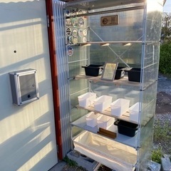 【メダカ屋　恵作めだか】5月6日OPEN無人販売所　5月11日～ラインナップ − 埼玉県