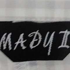 ＭＡＤy Ⅱ シルバーチェックブラウスの画像
