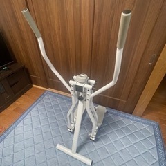 スカイウォーカー
