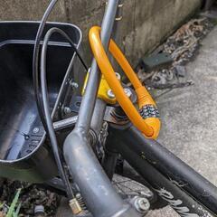 子供　キッズ　自転車 マウンテンバイクの画像