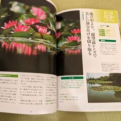 カメラ始めます！の画像