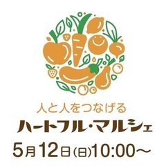 メダカ　　　の画像