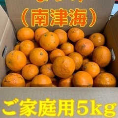 【在庫切れ】☆★☆ 和歌山みかん「南津海」（なつみ）訳あり5kg...