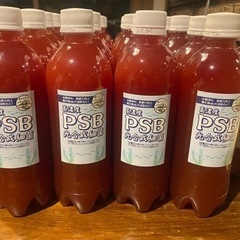 光合成細菌PSB
