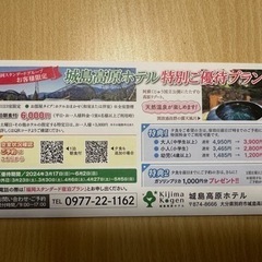 【決まりました】大分県城島高原パーク入場券4枚セットの画像