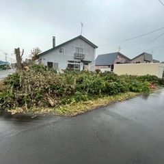 庭木伐採・枝払い・木の撤去・木の根除去・抜根・林業・草刈り&整地・砂利引き生コン打設　札幌 旭川 岩見沢 滝川（全道対応） - 剪定/造園