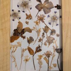 ハンドメイド✾カントリー風押し花の画像