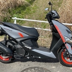 取引決定！
シグナスグリファス新古車