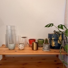 花瓶、植木鉢、植物など12点 (別売り可、値段交渉可)の画像