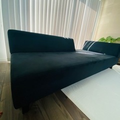 大人気】FLANNEL SOFA ペットの引っ掻き傷に強い