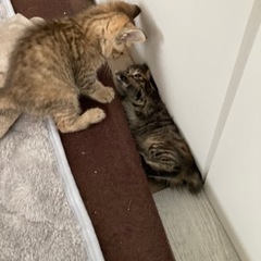 仲良し姉妹