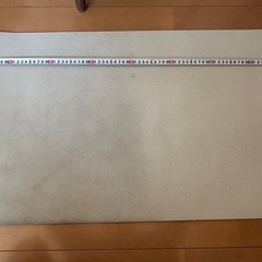 ニトリ 珪藻土入りやわらかバスマット