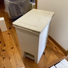 足踏みペール缶ゴミ箱20Ｌ