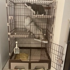 猫 2段ケージ
