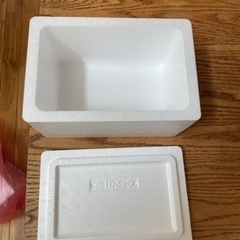 ☆メダカ発送用容器　60サイズ22個セット