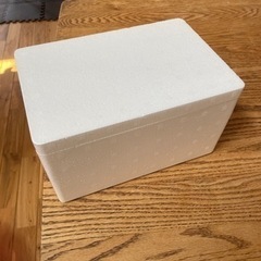 ☆メダカ発送用容器　60サイズ22個セットの画像