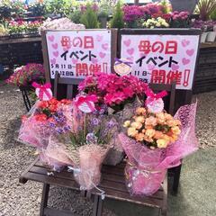 母の日イベント開催中( ≧∀≦)ノ