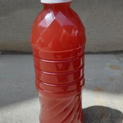 光合成細菌PSB 500ml